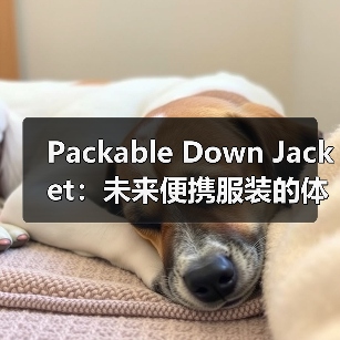 Packable Down Jacket：未来便携服装的体积差异化革命