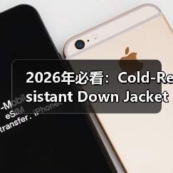 2026年必看:Cold-Resistant Down Jacket抗寒羽绒服的极寒行业差异化解析(图4) 2026年必看:Cold-Resistant Down Jacket抗寒羽绒服的极寒行业差异化解析(图4)