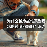 为什么越冷越难买到理想的锁温羽绒服？深入解码Thermal Down Jacket的保暖秘密