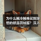 为什么越冷越难买到理想的锁温羽绒服?深入解码Thermal Down Jacket的保暖秘密(图3) 为什么越冷越难买到理想的锁温羽绒服?深入解码Thermal Down Jacket的保暖秘密(图3)