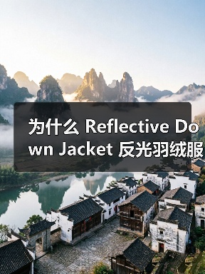 为什么 Reflective Down Jacket 反光羽绒服在夜跑行业能实现安全差异化？这是一个让人深思的问题。在黑暗中穿行，如果没有合适的反光设计，安全保（图4）