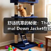 舒适抗寒的秘密：Thermal Down Jacket在锁温行业中的突破