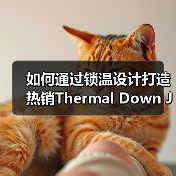 如何通过锁温设计打造热销Thermal Down Jacket引领保暖服装新潮流