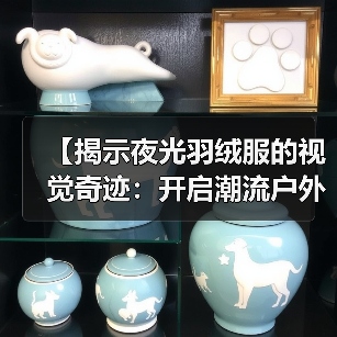 【揭示夜光羽绒服的视觉奇迹：开启潮流户外新趋势】（图4）
