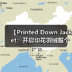 【Printed Down Jacket:开启印花羽绒服个性化的未来】(图2) 【Printed Down Jacket:开启印花羽绒服个性化的未来】(图2)