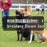 刺绣羽绒服新趋势：Embroidery Down Jacket引领工艺差异化创新（图4）