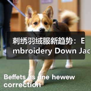 刺绣羽绒服新趋势：Embroidery Down Jacket引领工艺差异化创新