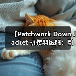 【Patchwork Down Jacket 拼接羽绒服:引领潮流的差异化竞争秘籍】(图4) 【Patchwork Down Jacket 拼接羽绒服:引领潮流的差异化竞争秘籍】(图4)