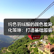纯色羽绒服的颜色差异化策略：打造基础服装行业的独特优势（图2）