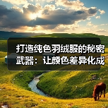 打造纯色羽绒服的秘密武器：让颜色差异化成就基础服装行业新潮流