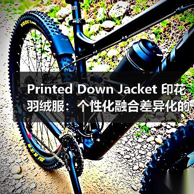 Printed Down Jacket 印花羽绒服:个性化融合差异化的终极秘籍(图4) Printed Down Jacket 印花羽绒服:个性化融合差异化的终极秘籍(图4)