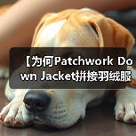 【为何Patchwork Down Jacket拼接羽绒服能引领拼接差异化潮流？】