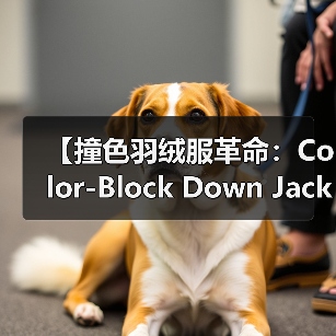 【撞色羽绒服革命:Color-Block Down Jacket引领时尚新风尚】(图4) 【撞色羽绒服革命:Color-Block Down Jacket引领时尚新风尚】(图4)