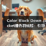 Color-Block Down Jacket撞色羽绒服:引领时尚的色彩差异化新趋势(图2) Color-Block Down Jacket撞色羽绒服:引领时尚的色彩差异化新趋势(图2)