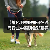 【撞色羽绒服如何在时尚行业中实现色彩差异化？全面解读Color-Block Down Jacket策略】