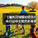【撞色羽绒服如何在时尚行业中实现色彩差异化?全面解读Color-Block Down Jacket策略】(图4) 【撞色羽绒服如何在时尚行业中实现色彩差异化?全面解读Color-Block Down Jacket策略】(图4)