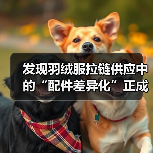 发现羽绒服拉链供应中的“配件差异化”正成为服装五金行业的新风向—你知道吗？实际上，不同型号的Down Jacket Zipper Supply不仅影响着羽绒服的