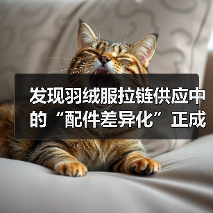 发现羽绒服拉链供应中的“配件差异化”正成为服装五金行业的新风向—你知道吗?实际上,不同型号的Down Jacket Zipper Supply不仅影响着羽绒服的(图4) 发现羽绒服拉链供应中的“配件差异化”正成为服装五金行业的新风向—你知道吗?实际上,不同型号的Down Jacket Zipper Supply不仅影响着羽绒服的(图4)