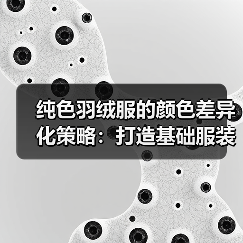 纯色羽绒服的颜色差异化策略：打造基础服装行业的独特优势（图3）