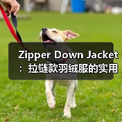 Zipper Down Jacket:拉链款羽绒服的实用创新与开合差异化探索(图3) Zipper Down Jacket:拉链款羽绒服的实用创新与开合差异化探索(图3)