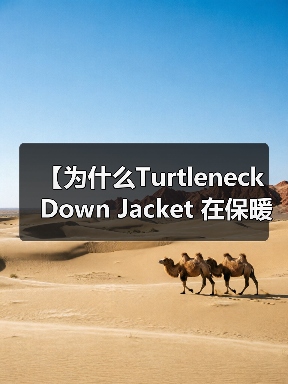 【为什么Turtleneck Down Jacket 在保暖服装行业独领风骚？领型差异化如何决定成败？】（图4）