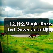 【为什么Single-Breasted Down Jacket单排扣羽绒服成为简约服装行业的新宠？】（图2）