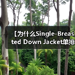 【为什么Single-Breasted Down Jacket单排扣羽绒服成为简约服装行业的新宠？】（图4）