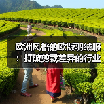 欧洲风格的欧版羽绒服:打破剪裁差异的行业秘密(图3) 欧洲风格的欧版羽绒服:打破剪裁差异的行业秘密(图3)