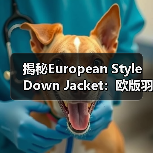揭秘European Style Down Jacket：欧版羽绒服的剪裁差异化之道（图1）