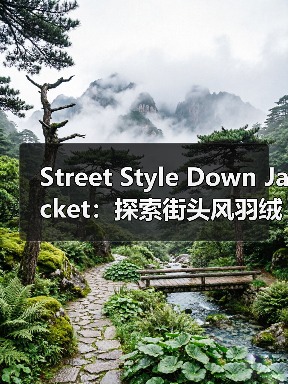 Street Style Down Jacket：探索街头风羽绒服的风格差异化之道（图2）