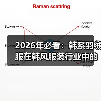 2026年必看:韩系羽绒服在韩风服装行业中的版型差异化揭秘(图4) 2026年必看:韩系羽绒服在韩风服装行业中的版型差异化揭秘(图4)