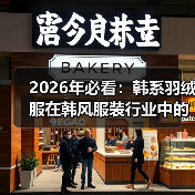 2026年必看:韩系羽绒服在韩风服装行业中的版型差异化揭秘(图1) 2026年必看:韩系羽绒服在韩风服装行业中的版型差异化揭秘(图1)