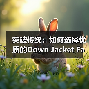 突破传统：如何选择优质的Down Jacket Fabric Supplier实现面料差异化