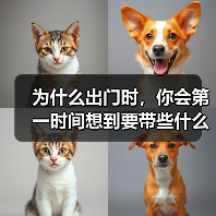 为什么出门时,你会第一时间想到要带些什么?是不是常常为羽绒服的口袋设计而烦恼?实际上,羽绒服口袋设计不仅关乎美观,更直接影响穿着体验和实用价值。尤其在“Down(图4) 为什么出门时,你会第一时间想到要带些什么?是不是常常为羽绒服的口袋设计而烦恼?实际上,羽绒服口袋设计不仅关乎美观,更直接影响穿着体验和实用价值。尤其在“Down(图4)