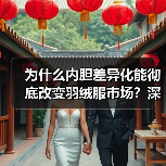 为什么内胆差异化能彻底改变羽绒服市场？深入探讨羽绒服内胆生产中的创新策略（图2）