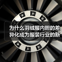 为什么羽绒服内胆的差异化成为服装行业的新竞争点（图2）