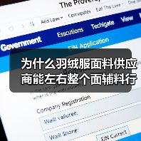 为什么羽绒服面料供应商能左右整个面辅料行业的未来？（图2）