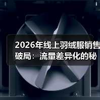 2026年线上羽绒服销售破局：流量差异化的秘密武器（图3）