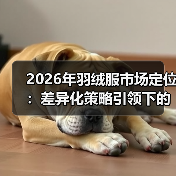 2026年羽绒服市场定位：差异化策略引领下的Down Jacket市场新格局