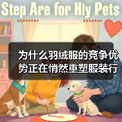 为什么羽绒服的竞争优势正在悄然重塑服装行业？——深度解析Down Jacket的差异化卖点带来的巨大变革（图2）