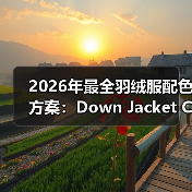2026年最全羽绒服配色方案:Down Jacket Color Matching的时尚密码(图2) 2026年最全羽绒服配色方案:Down Jacket Color Matching的时尚密码(图2)
