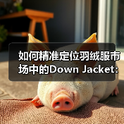 如何精准定位羽绒服市场中的Down Jacket：差异化战略揭秘（图1）