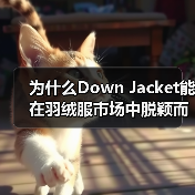 为什么Down Jacket能在羽绒服市场中脱颖而出？揭示服装行业的卖点差异化密码！