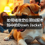 如何精准定位羽绒服市场中的Down Jacket：差异化战略揭秘（图4）