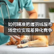 如何精准把握羽绒服市场定位实现差异化竞争（图2）