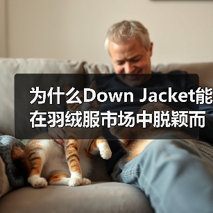 为什么Down Jacket能在羽绒服市场中脱颖而出？揭示服装行业的卖点差异化密码！（图2）