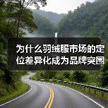 为什么羽绒服市场的定位差异化成为品牌突围的关键？（图1）