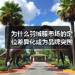 为什么羽绒服市场的定位差异化成为品牌突围的关键？（图3）