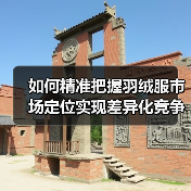 如何精准把握羽绒服市场定位实现差异化竞争（图3）