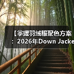 【掌握羽绒服配色方案：2026年Down Jacket Color Matching的时尚密码】（图4）